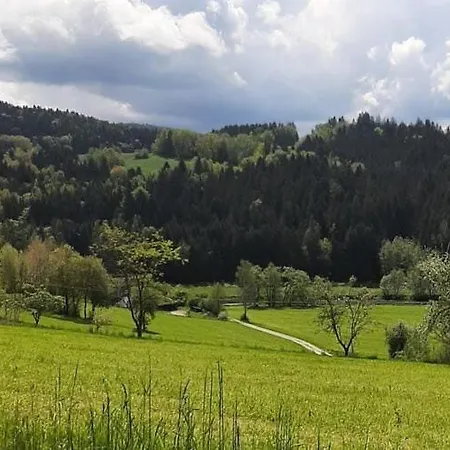 Holiday In Apartment Viechtach